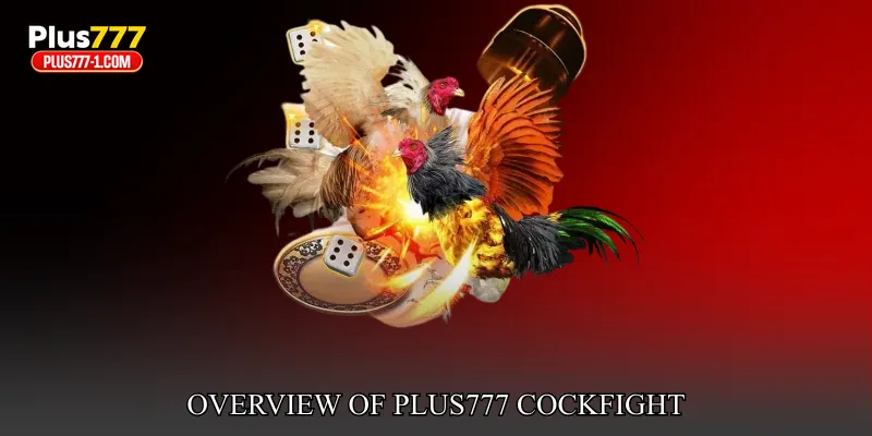 Overview Of Plus777 Cockfight