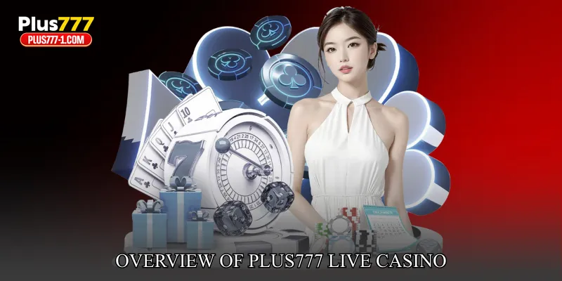 Overview Of Plus777 Live Casino