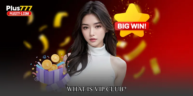 What Is VIP Club?