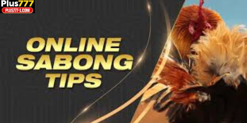 Top Sabong Tips for Beginners