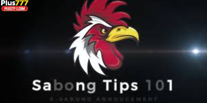 Sabong Tips Bangladesh 2026: Smart Winning Guide